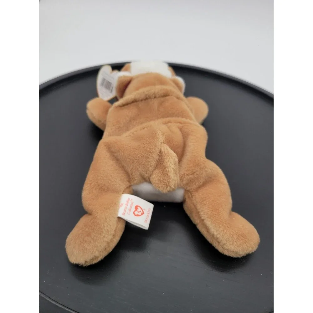 1996 Ty Beanie Baby WRINKLES the Bull Dog 8 Inch NEW Plush Stuffed Animal Toy